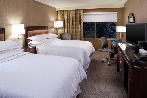 Sheraton Hartford South image 10