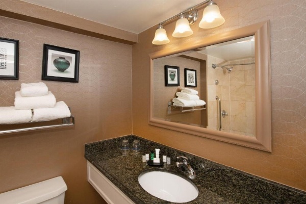 Sheraton Hartford South image 20